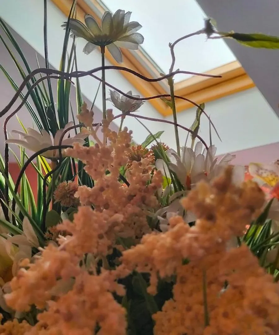 Il Sogno Di Jole Apartament Katania